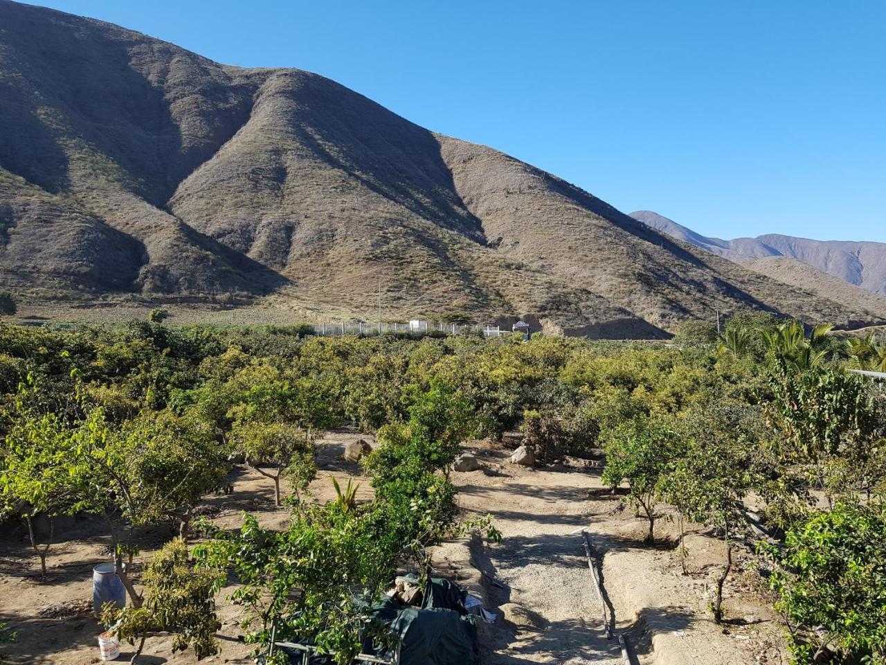 Estancia Los Aguacates Ξενοδοχείο Simbal Εξωτερικό φωτογραφία